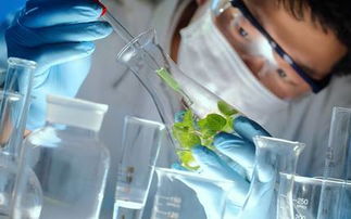 南京網(wǎng)絡(luò)設(shè)備制造致富全攻略