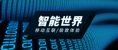 梧桐招采App 個(gè)人互聯(lián)網(wǎng)服務(wù)中的招采行業(yè)顛覆者